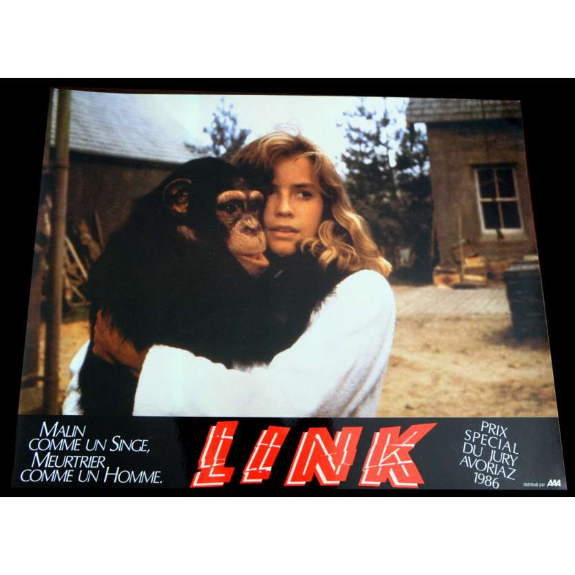 LINK French Lobby Card 2 9x12 - 1986 - Richard Franklin, Terence Stamp