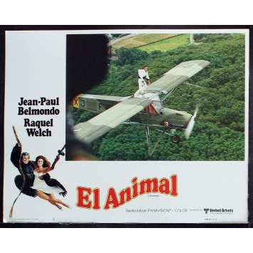L'ANIMAL Photo de film 1 28x36 - 1977 - Jean-Paul Belmondo, Claude Zidi L'ANIMAL Photo de film 1 28x36 - 1977 - Jean-Paul Belmondo, Claude Zidi