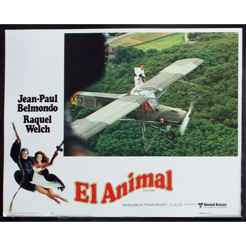 ANIMAL US Lobby Card 1 11x14 - 1977 - Claude Zidi, Jean-Paul Belmondo