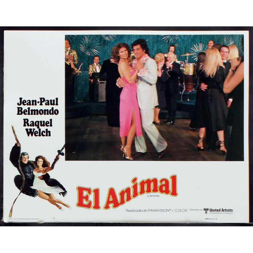 ANIMAL US Lobby Card 2 11x14 - 1977 - Claude Zidi, Jean-Paul Belmondo