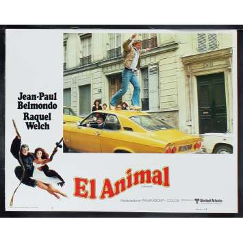 ANIMAL US Lobby Card 4 11x14 - 1977 - Claude Zidi, Jean-Paul Belmondo