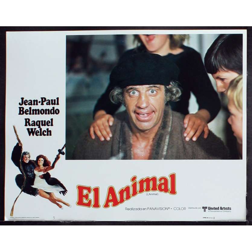 L'ANIMAL Photo de film 5 28x36 - 1977 - Jean-Paul Belmondo, Claude Zidi