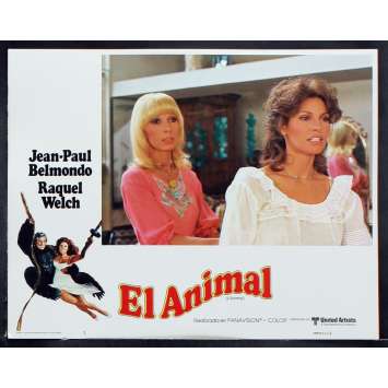 L'ANIMAL Photo de film 6 28x36 - 1977 - Jean-Paul Belmondo, Claude Zidi