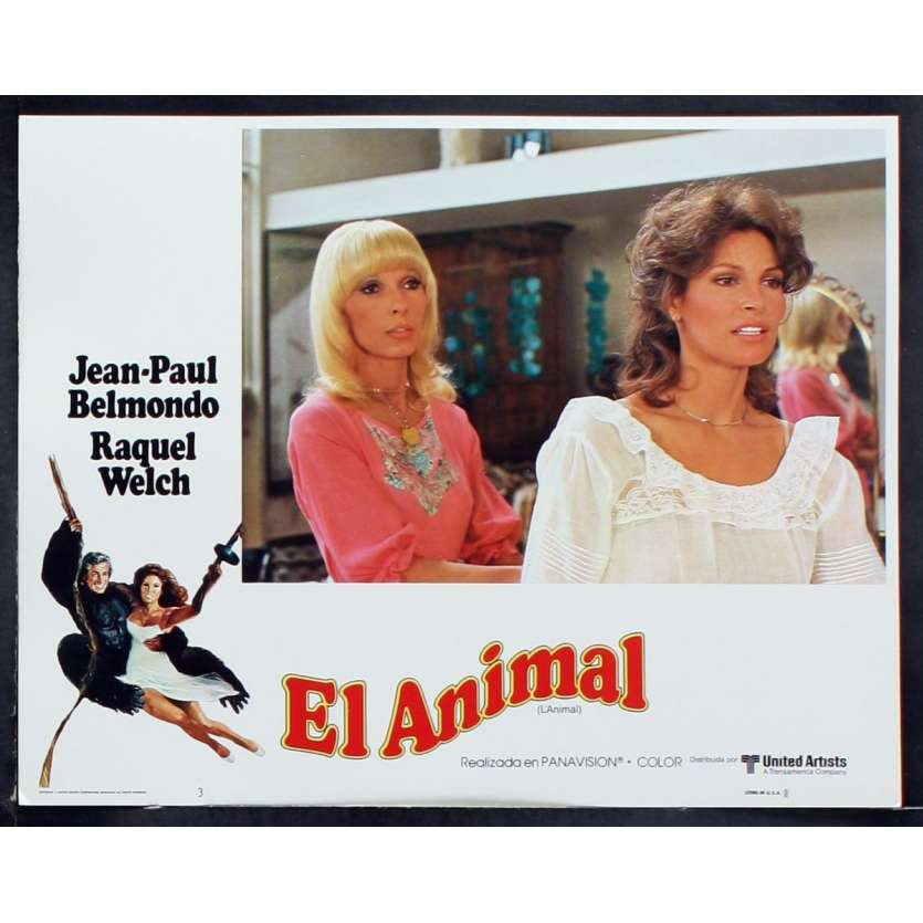 ANIMAL US Lobby Card 6 11x14 - 1977 - Claude Zidi, Jean-Paul Belmondo