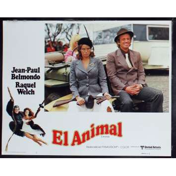 ANIMAL US Lobby Card 7 11x14 - 1977 - Claude Zidi, Jean-Paul Belmondo
