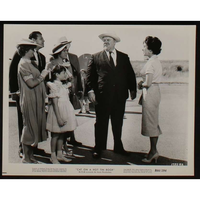 LA CHATTE SUR LE TOIT BRULANT Photo de presse N8 20x25 - 1966 - Paul Newman, Liz Taylor, Richard Brooks