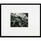 DESTINATION LUNE Photo de presse 20x25 - 1960 - John Archer, Irvin Pichel