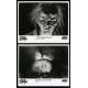 LA MALEDICTION CELESTE Photos de presse x2 20x25 - 1987 - Will Wheaton, David Keith