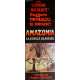 AMAZONIA Affiche de film 60x160 cm - 1985 - Lisa Blount, Ruggero Deodato