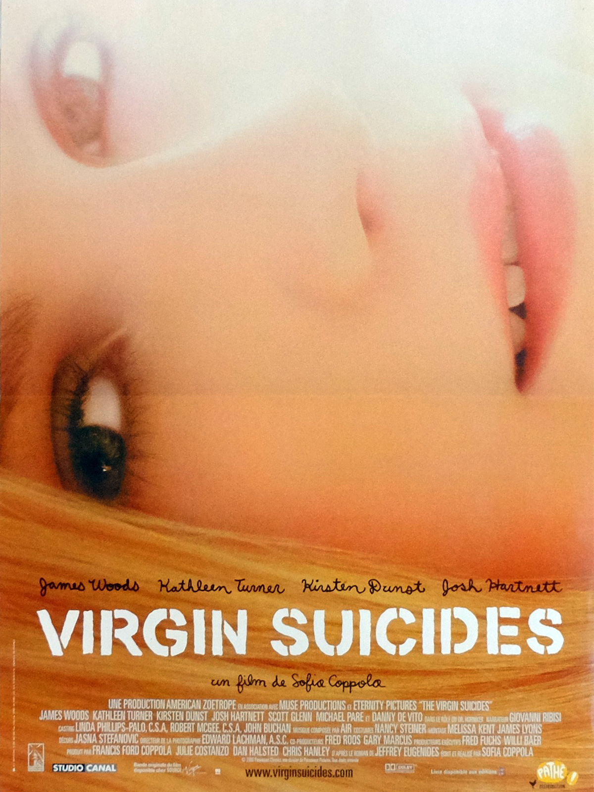 Resultado de imagem para The Virgin Suicides poster