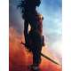WONDER WOMAN Movie Poster  15x21 in.  - 2017 - Patty Jenkins, Gal Gadot
