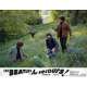 HELP Photo de film 21x30 cm - N01 1965 - The Beatles, Richard Lester