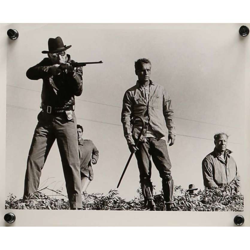 COOL HAND LUKE Movie Still 8x10 in.  - N10 1967 - Stuart Rosenberg, Paul Newman