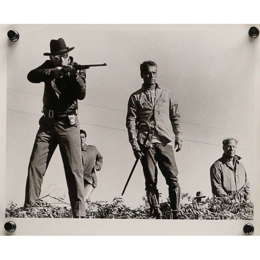 COOL HAND LUKE Movie Still 8x10 in. - N10 1967 - Stuart Rosenberg, Paul Newman