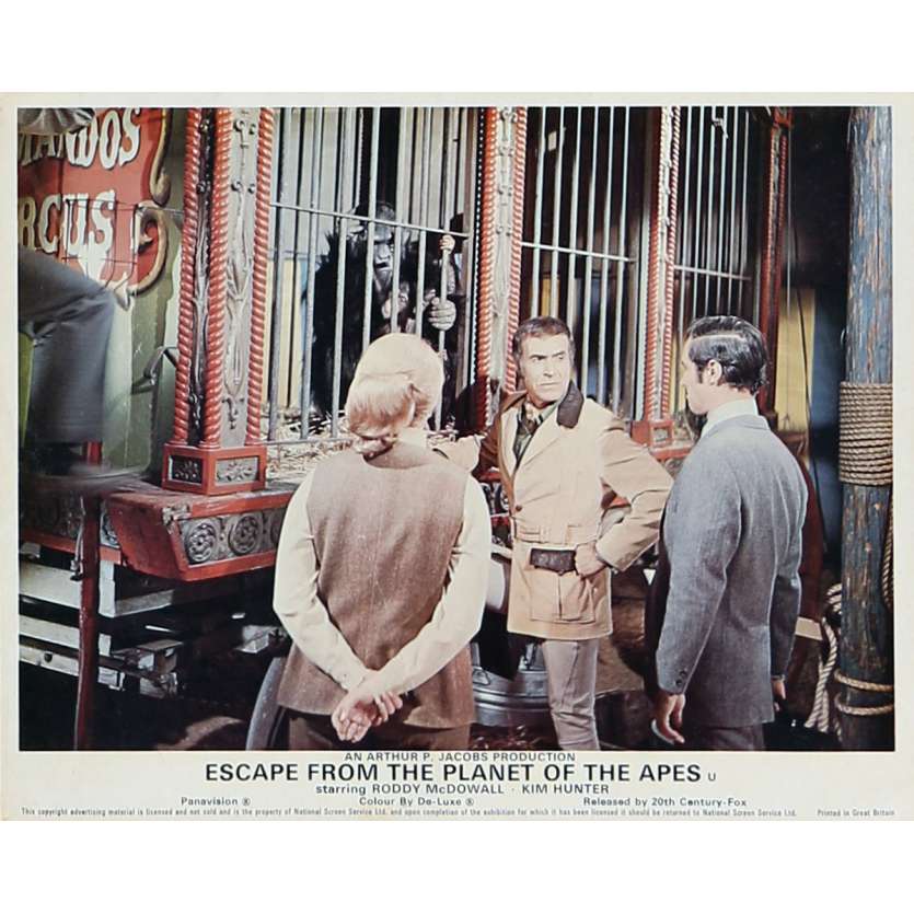 ESCAPE FROM THE PLANET OF THE APES Lobby Card 8x10 in. - N08 1971 - Don Taylor, Roddy McDowall