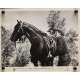 SPRINGFIELD RIFLE Movie Still 8x10 in.  -  1952 - André de Toth, Gary Cooper