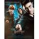 HARRY POTTER ET L'ORDRE DU PHENIX Affiche de film  - 40x60 cm. - 2007 - Daniel Radcliffe, David Yates