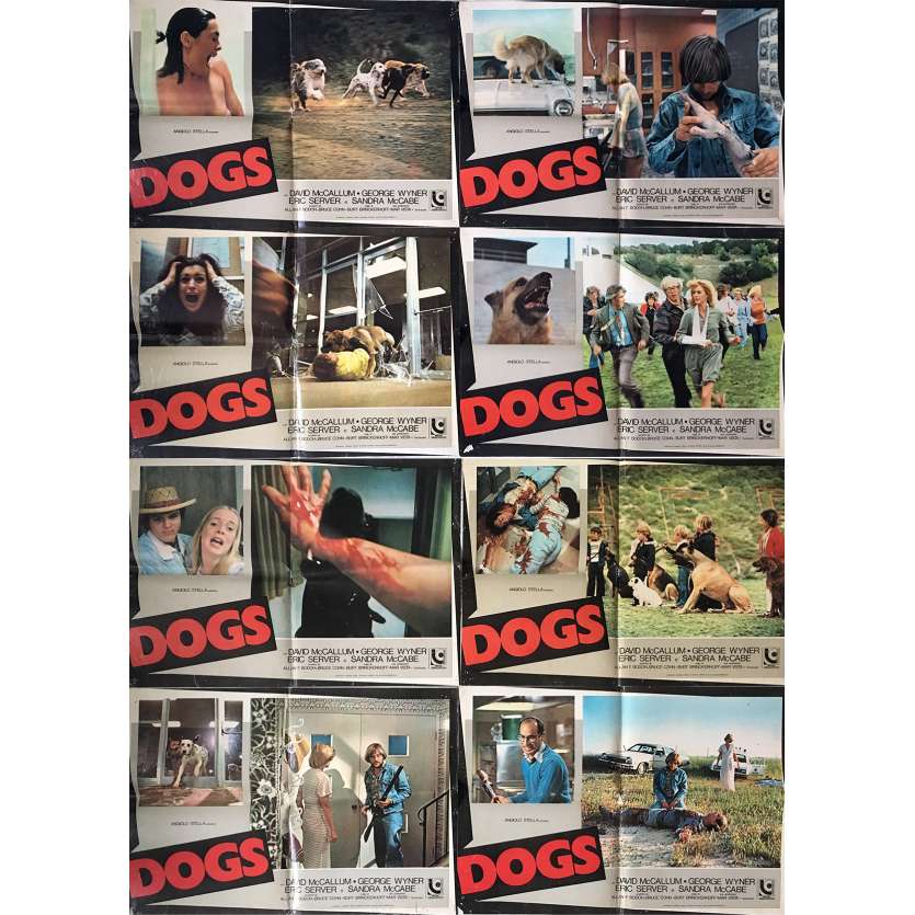 LES CHIENS FOUS Photobustas x8 - 46x64 cm. - 1976 - David McCallum, Burt Brinckerhoff