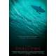 INSTINCT DE SURVIE - THE SHALLOWS Affiche de film DS - Adv. - 69x104 cm. - 2016 - Blake Lively, Jaume Collet-Serra