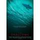 THE SHALLOWS Movie Poster DS - Adv. - 29x41 in. - 2016 - Jaume Collet-Serra, Blake Lively