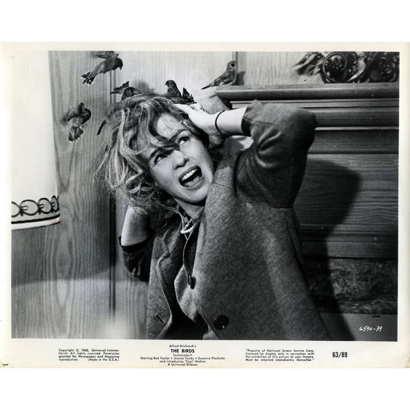 LES OISEAUX Photo de presse N05 - 20x25 cm. - 1963 - Tippi Hedren, Alfred Hitchcock