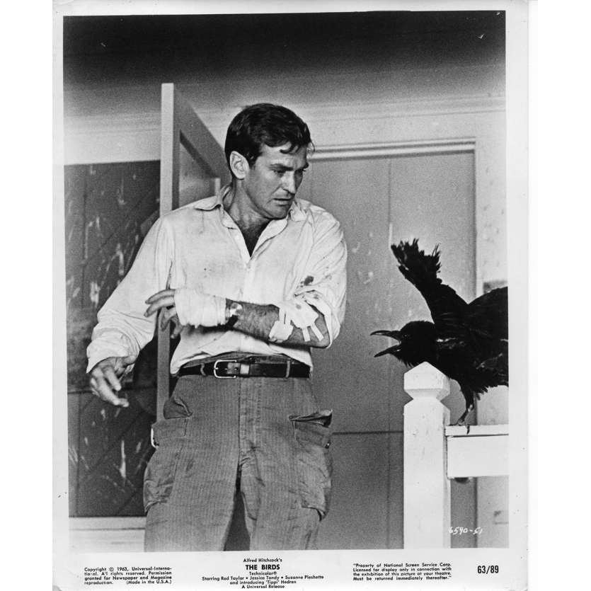 THE BIRDS Movie Still N03 - 8x10 in. - 1963 - Alfred Hitchcock, Tippi Hedren