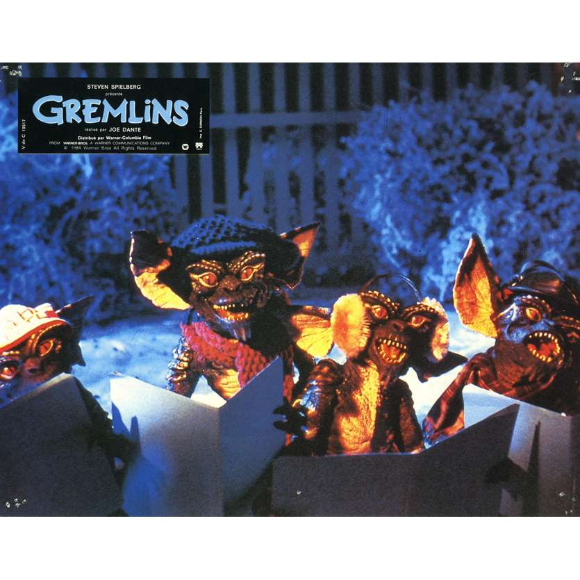 GREMLINS Photo de film N03 - 21x30 cm. - 1984 - Zach Galligan, Joe Dante