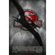 JURASSIC PARK 3 Affiche de film  - 69x102 cm. - 2001 - Sam Neil, Steven Spielberg