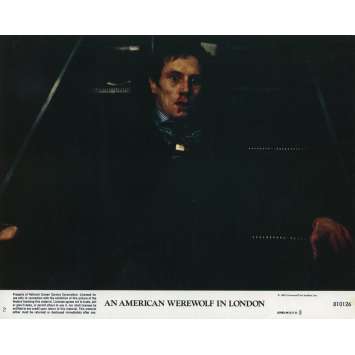 AN AMERICAN WEREWOLF IN LONDON Original Lobby Card N02 - 8x10 in. - 1981 - John Landis, David Naughton