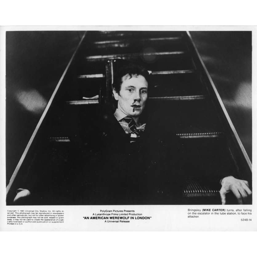 LE LOUP-GAROU DE LONDRES Photo de presse N03 - 20x25 cm. - 1981 - David Naughton, John Landis