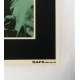 STAR WARS - L'EMPIRE CONTRE ATTAQUE Affiche de film entoilée  - 33x78 cm. - 1980 - George Lucas, Rare !
