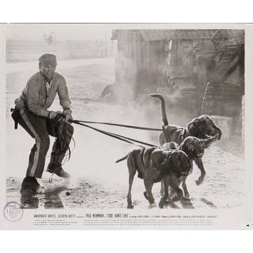 COOL HAND LUKE Original Lobby Card N27 - 8x10 in. - 1967 - Stuart Rosenberg, Paul Newman