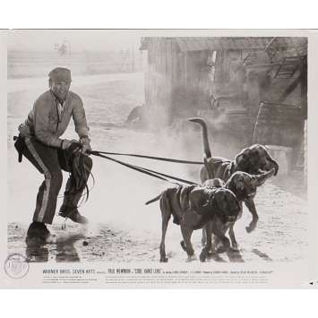 LUKE LA MAIN FROIDE Photo de film N27 - 20x25 cm. - 1967 - Paul Newman, Stuart Rosenberg