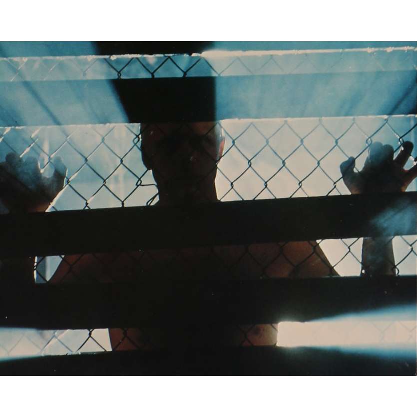 BLADE RUNNER Photo de film N07 - DeLuxe - 20x25 cm. - 1982 - Harrison Ford, Ridley Scott
