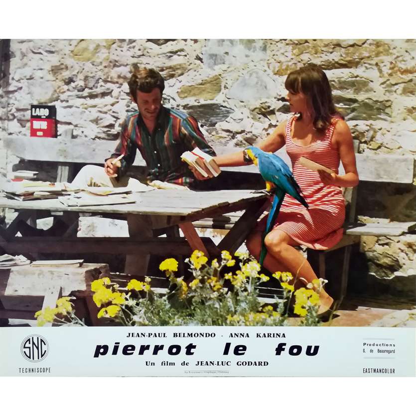Films De La Série Studio Pierrot Photo de PIERROT LE FOU N02