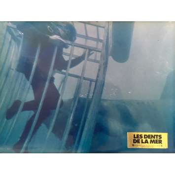 LES DENTS DE LA MER Photo de film N01 - 30x40 cm. - 1975 - Roy Sheider, Steven Spielberg LES DENTS DE LA MER Photo de film N01 - 30x40 cm. - 1975 - Roy Sheider, Steven Spielberg