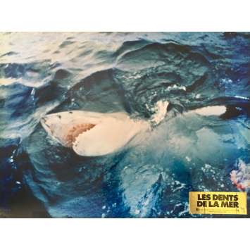 JAWS Original Lobby Card N06 - 12x15 in. - 1975 - Steven Spielberg, Roy Sheider JAWS Original Lobby Card N06 - 12x15 in. - 1975 - Steven Spielberg, Roy Sheider