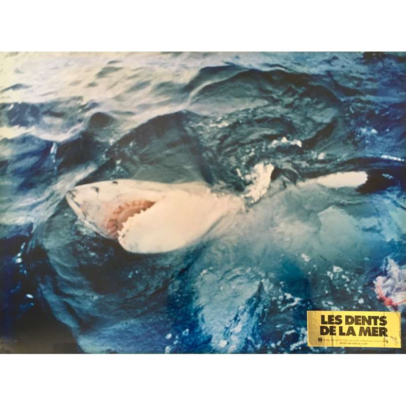 JAWS Original Lobby Card N06 - 12x15 in. - 1975 - Steven Spielberg, Roy Sheider