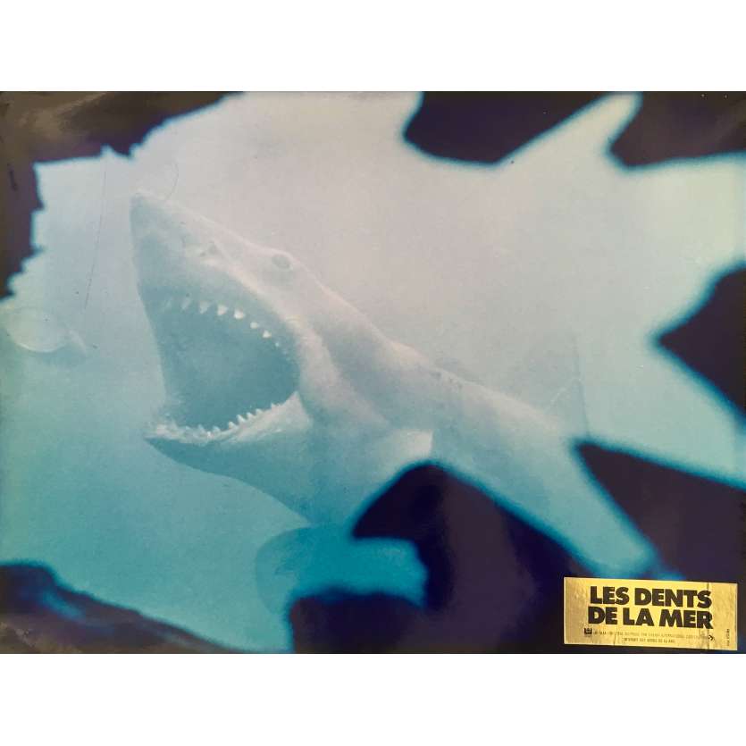 JAWS Original Lobby Card N09 - 12x15 in. - 1975 - Steven Spielberg, Roy Sheider