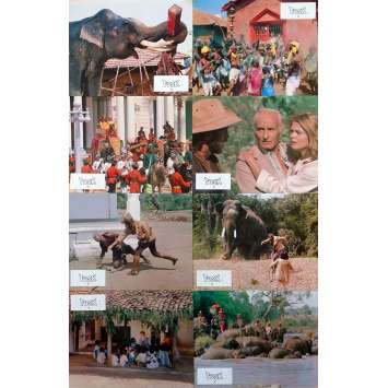 TUSK Original Lobby Cards x8 - 9x12 in. - 1980 - Alejandro Jodorowsky, Cyrielle Clair