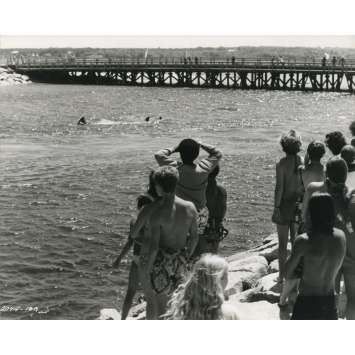 LES DENTS DE LA MER Photo de presse N06 - 20x25 cm. - 1975 - Roy Sheider, Steven Spielberg
