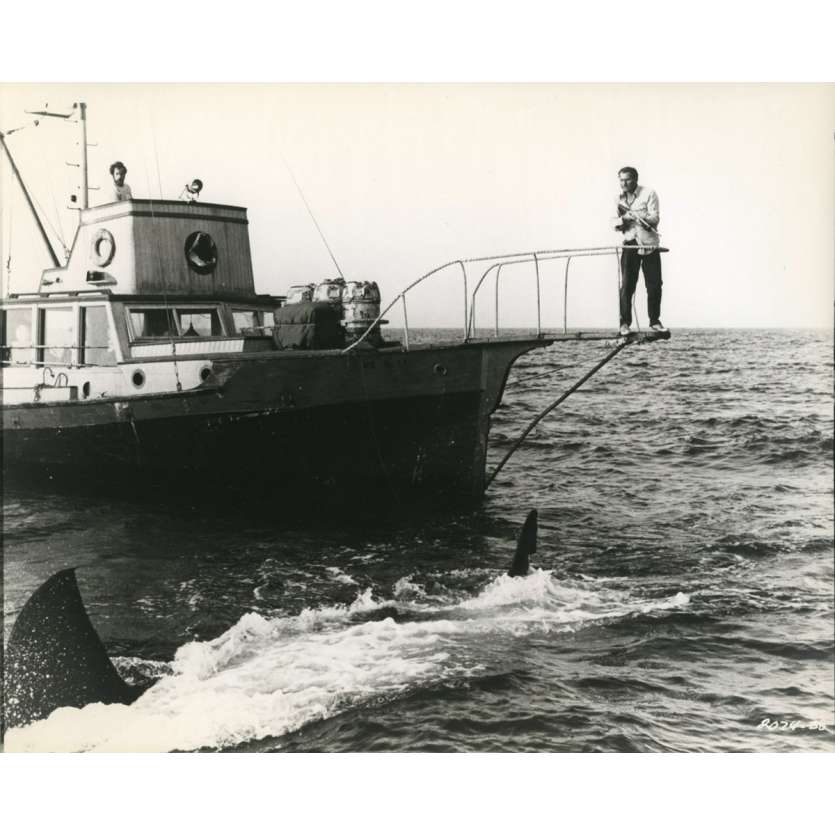 JAWS Original Movie Still N03 - 8x10 in. - 1975 - Steven Spielberg, Roy Sheider