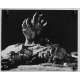 EVIL DEAD Photo de presse N03 - 20x25 cm. - 1981 - Bruce Campbell, Sam Raimi