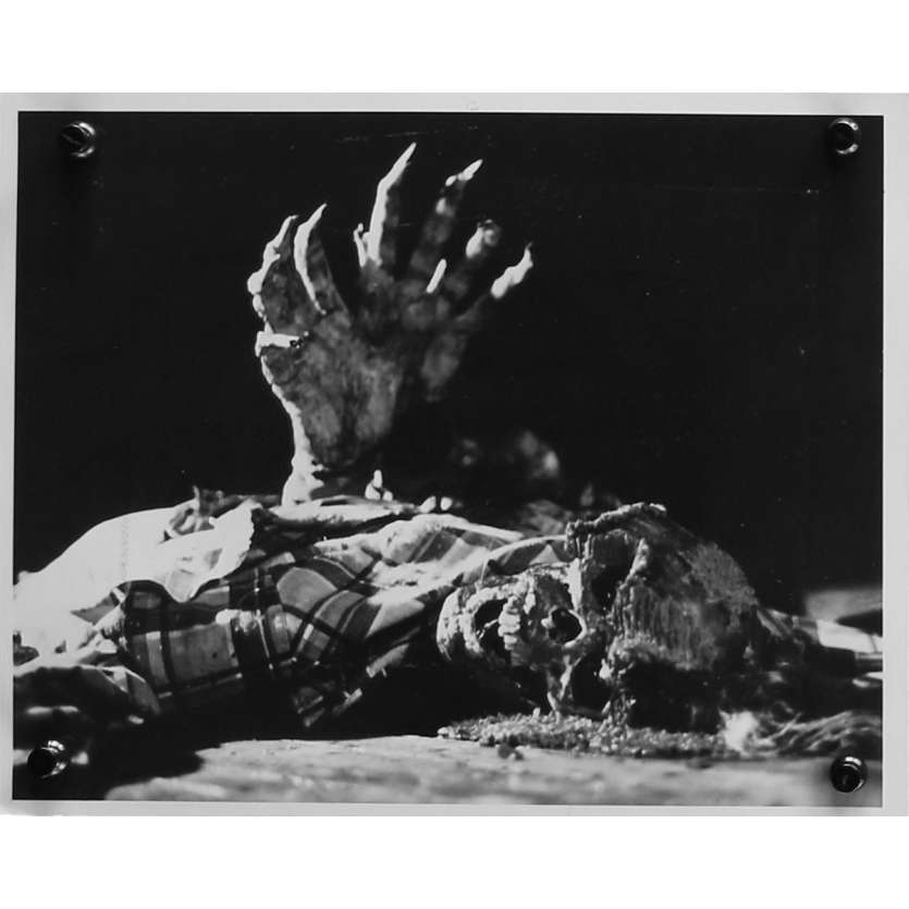 THE EVIL DEAD Original Movie Still N03 - 8x10 in. - 1981 - Sam Raimi, Bruce Campbell