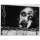 THE EVIL DEAD Original Movie Still N02 - 8x10 in. - 1981 - Sam Raimi, Bruce Campbell