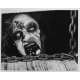 EVIL DEAD Photo de presse N01 - 20x25 cm. - 1981 - Bruce Campbell, Sam Raimi
