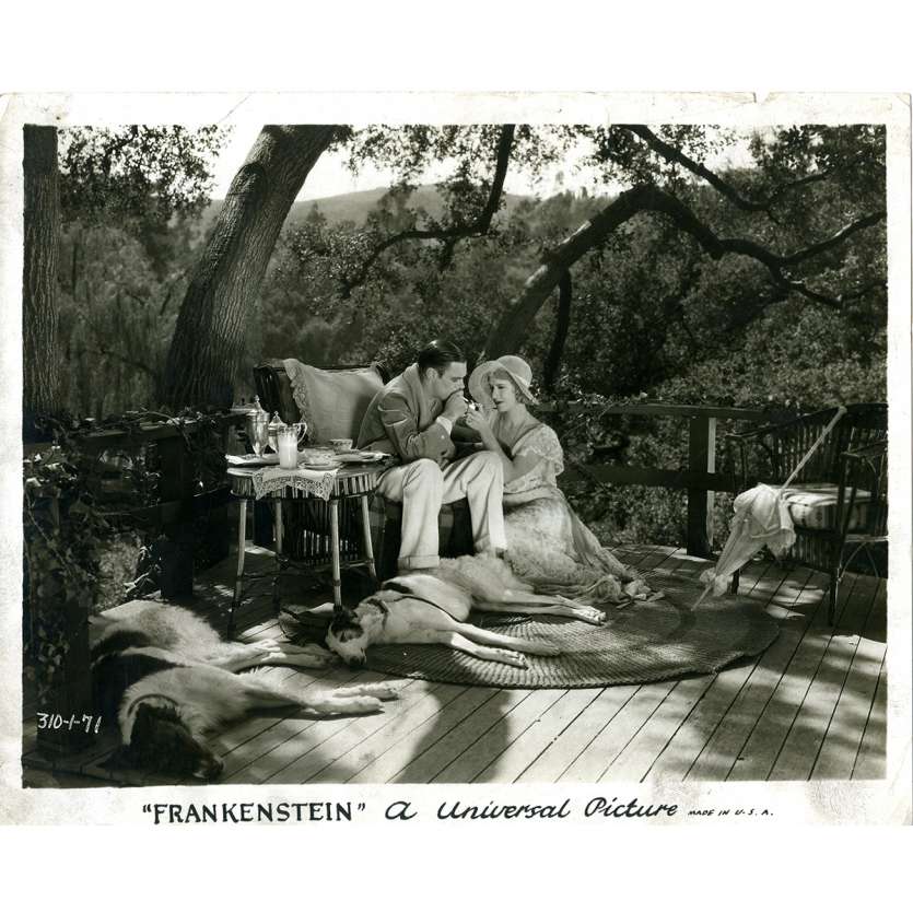 FRANKENSTEIN Photo de presse 310-1-71 - 20x25 cm. - 1931 - Boris Karloff, James Whale