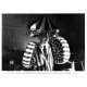 BEETLEJUICE Original Movie Still BJ-41 - 8x10 in. - 1988 - Tim Burton, Michael Keaton