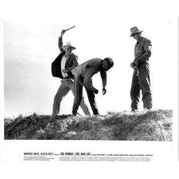 COOL HAND LUKE Original Movie Still NA - 8x10 in. - 1967 - Stuart Rosenberg, Paul Newman