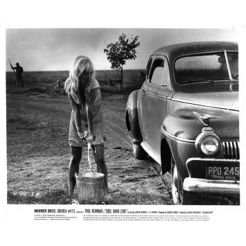 COOL HAND LUKE Original Movie Still N53 - 8x10 in. - 1967 - Stuart Rosenberg, Paul Newman